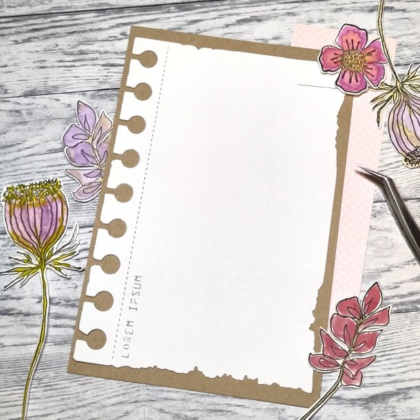 Bakgrund 1. / Baggrund 1.