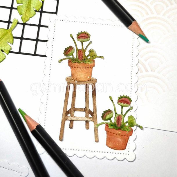 Venus flue-fanger plante