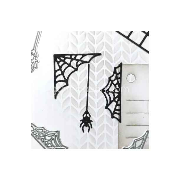 Edderkoppespind Og Edderkop