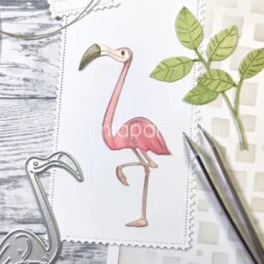 Flamingo