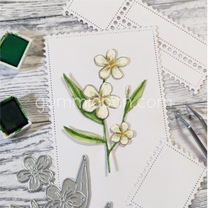 Vrblomma / Forrsblomst