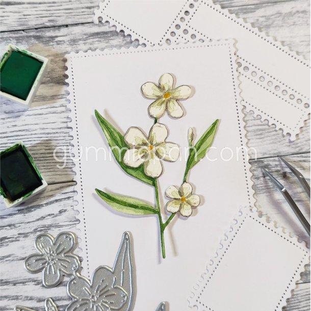 Vrblomma / Forrsblomst