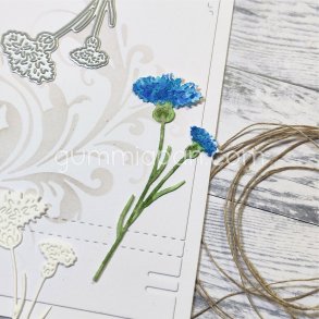 Blklint / kornblomst