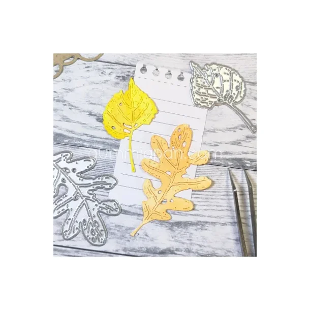 Slidte egetrsblade og slidte lindeblade