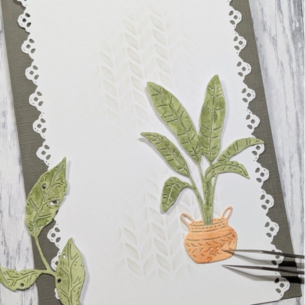 Stort potteplante i kurv