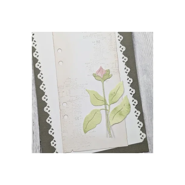 Lille blomst med knop