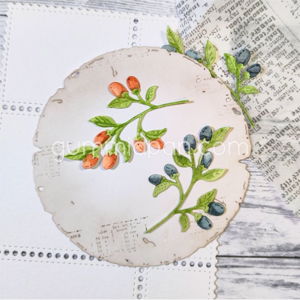 Lille kvist med b�r