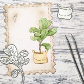 Stor Fiddlehead plante i en pose