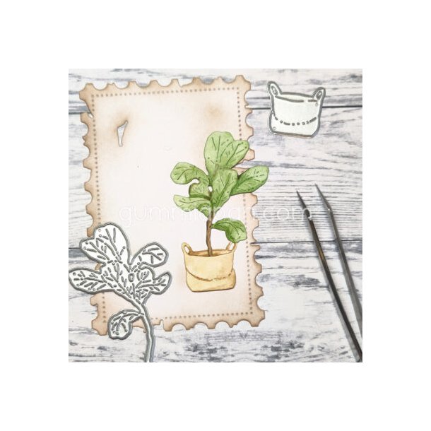 Stor Fiddlehead plante i en pose