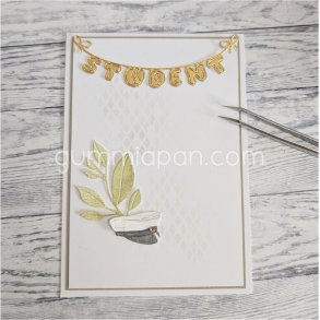 Student banner